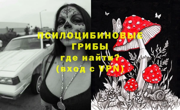каннабис Алзамай