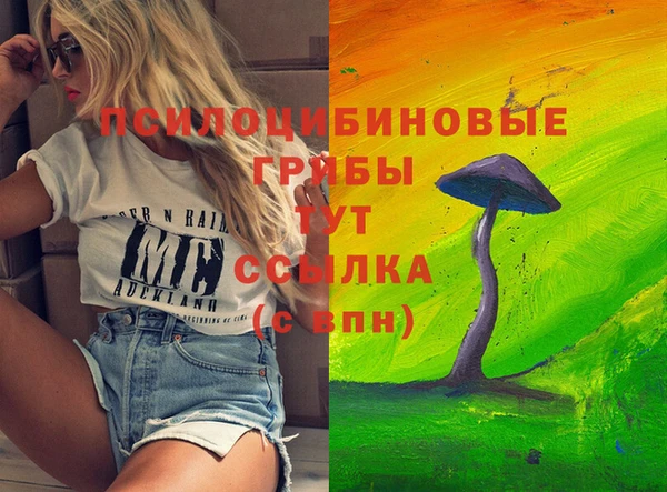 МДПВ Алексеевка