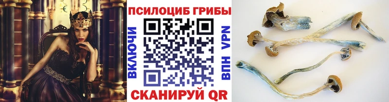 Галлюциногенные грибы ЛСД Купить закладки Бронницы